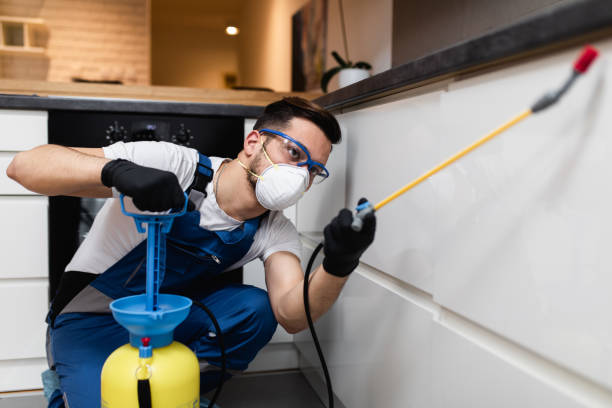 Best Flea Control Services  in Wamego, KS