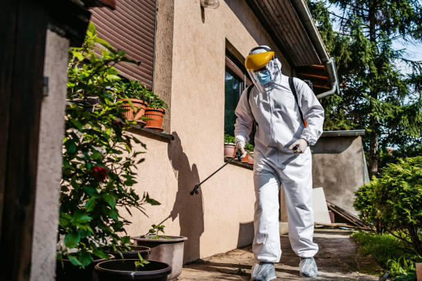 Best Pest Inspection Near Me  in Wamego, KS