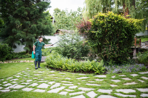 Best Pest Removal Services  in Wamego, KS