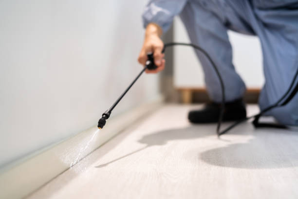 Best Pest Control for Businesses  in Wamego, KS