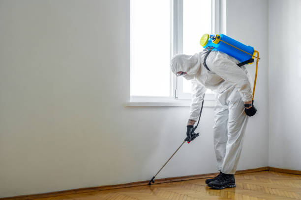 Best Pest Control Near Me in Wamego, KS