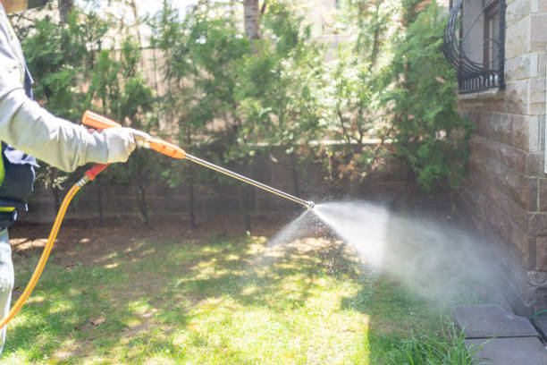 Best Affordable Exterminators  in Wamego, KS