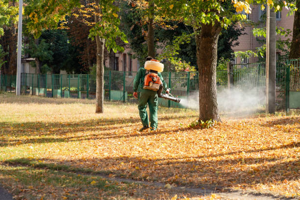 Best Best Pest Control Companies  in Wamego, KS