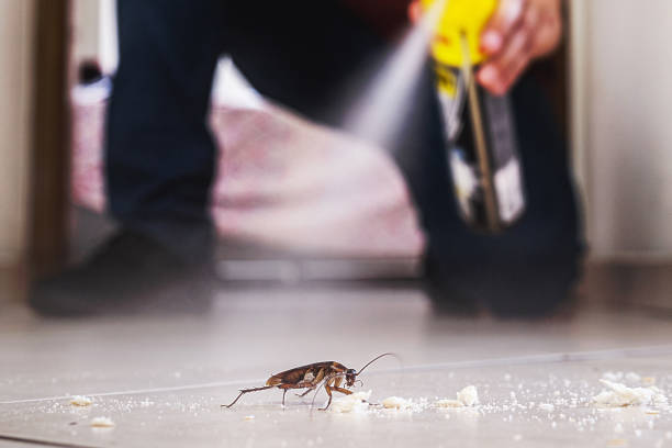 Best Residential Pest Control  in Wamego, KS